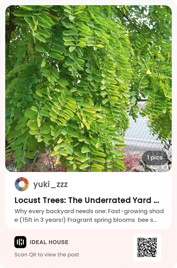 Locust Trees: The Underrated Yard Superhero